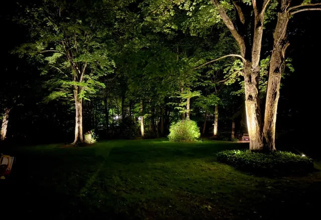 Mature trees and a planted garden illuminated by landscape lights at night.